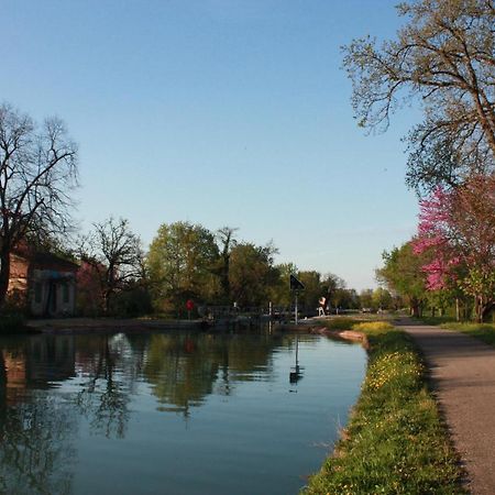 Lacourt-Saint-Pierre Chambre D'Hotes Et Table D'Hotes Domaine De La Terrasse Sas Et Gite Anda Montauban المظهر الخارجي الصورة
