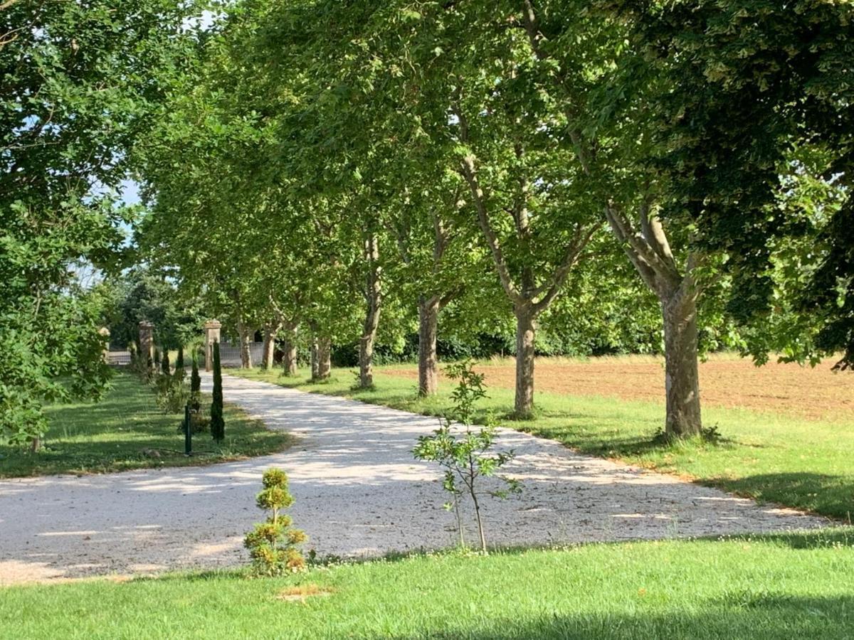Lacourt-Saint-Pierre Chambre D'Hotes Et Table D'Hotes Domaine De La Terrasse Sas Et Gite Anda Montauban المظهر الخارجي الصورة